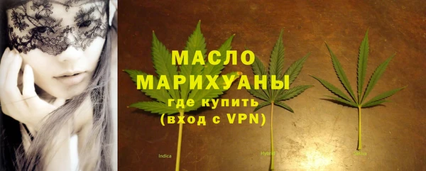 индика Аркадак