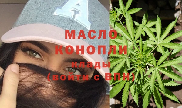 индика Аркадак
