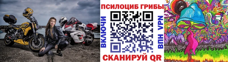 Галлюциногенные грибы Psilocybine cubensis МЕГА маркетплейс Холмск сколько стоит